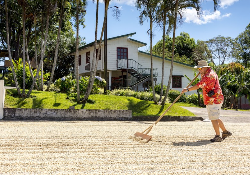 Volcanoes & Coffee Trails Costa Rica Package Enjoy Costa Rica