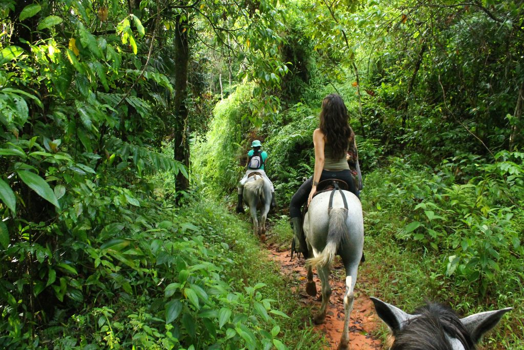 Horseback Riding Discover Costa Rica Horseback Half Day Tours