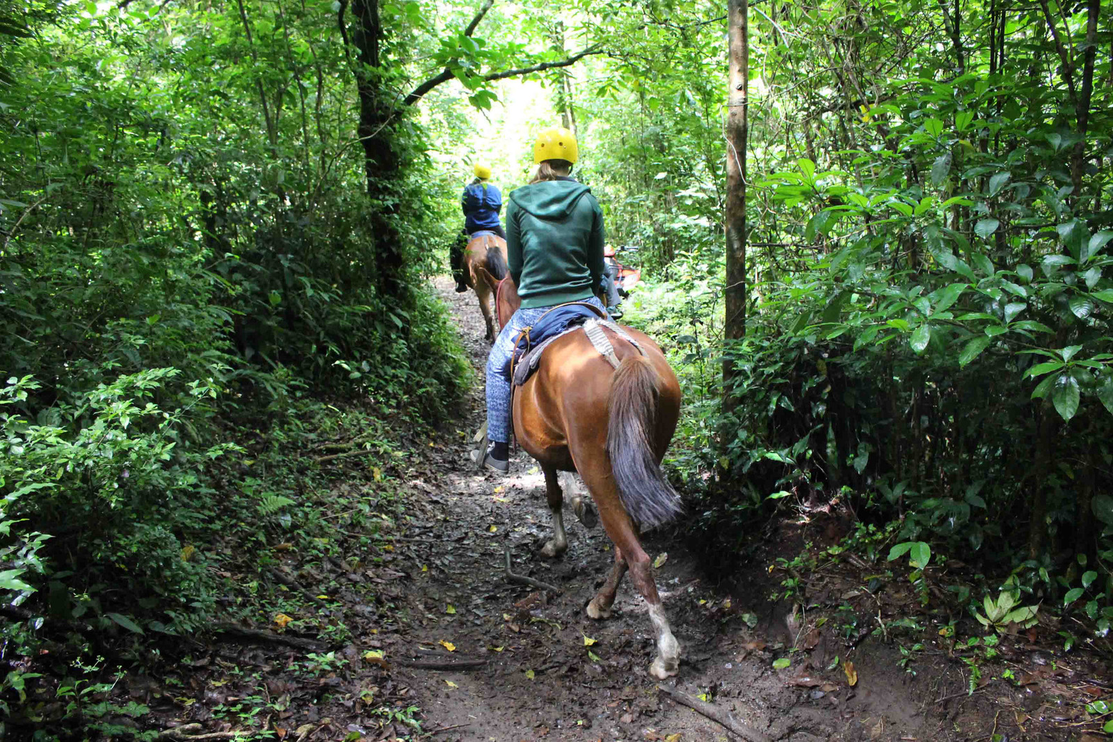 Horseback Riding to Monteverde