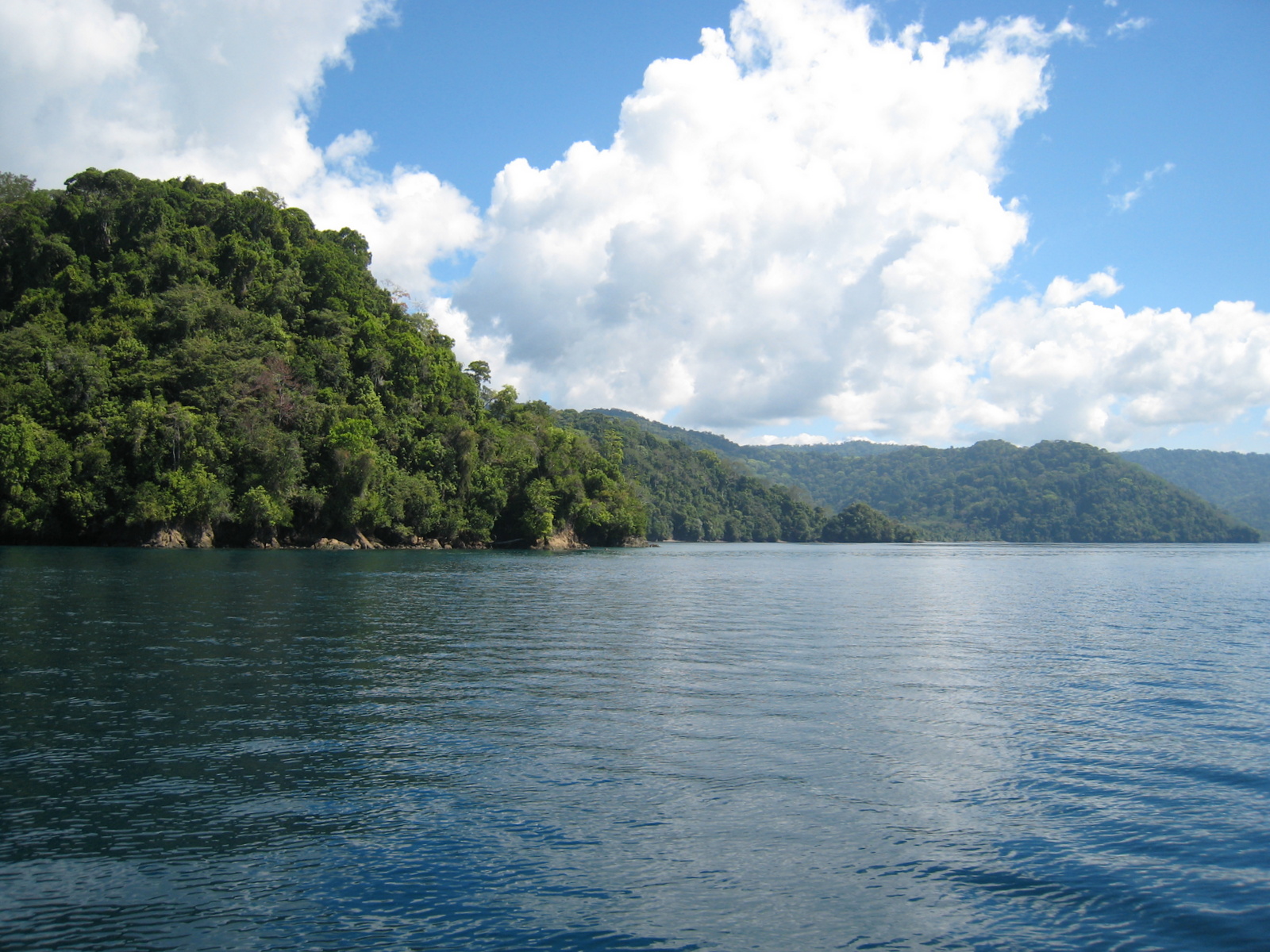 Piedras BLancas National Park -Piedras Blancas Costa Rica - Enjoy Costa ...