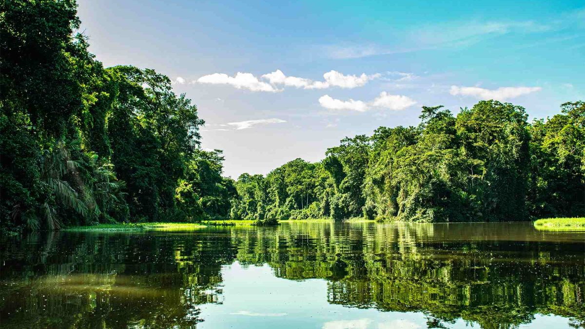Tortuguero National Park
