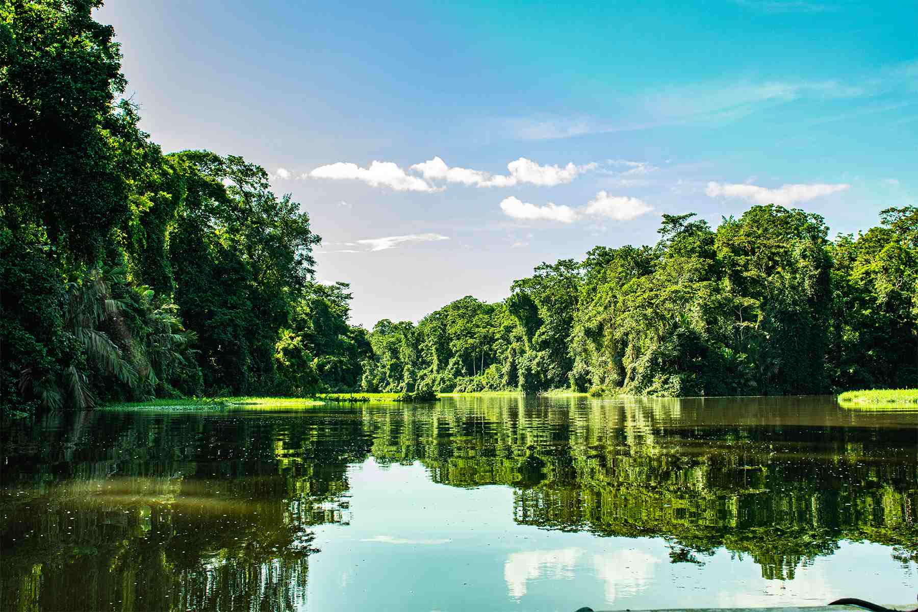 Tortuguero National Park